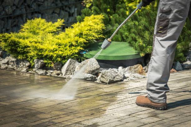 Best Winterizing Services  in Sulphur Springs, AR